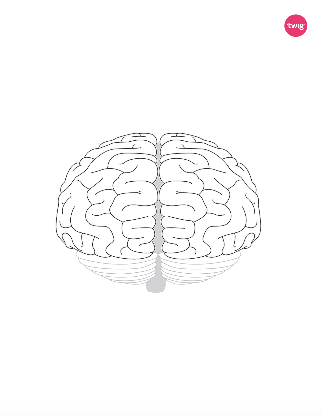 Brain cutout