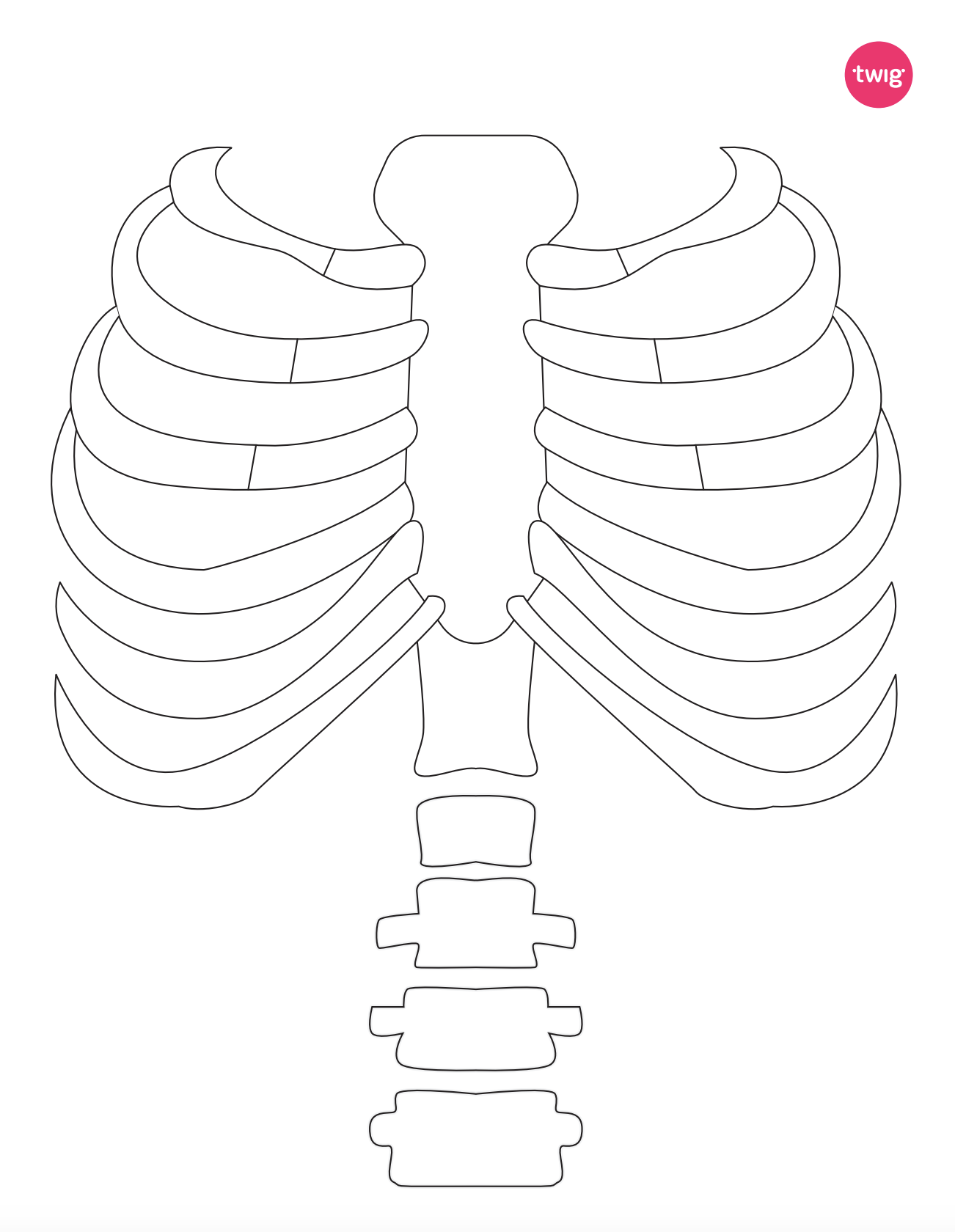 Rib Cage cutout
