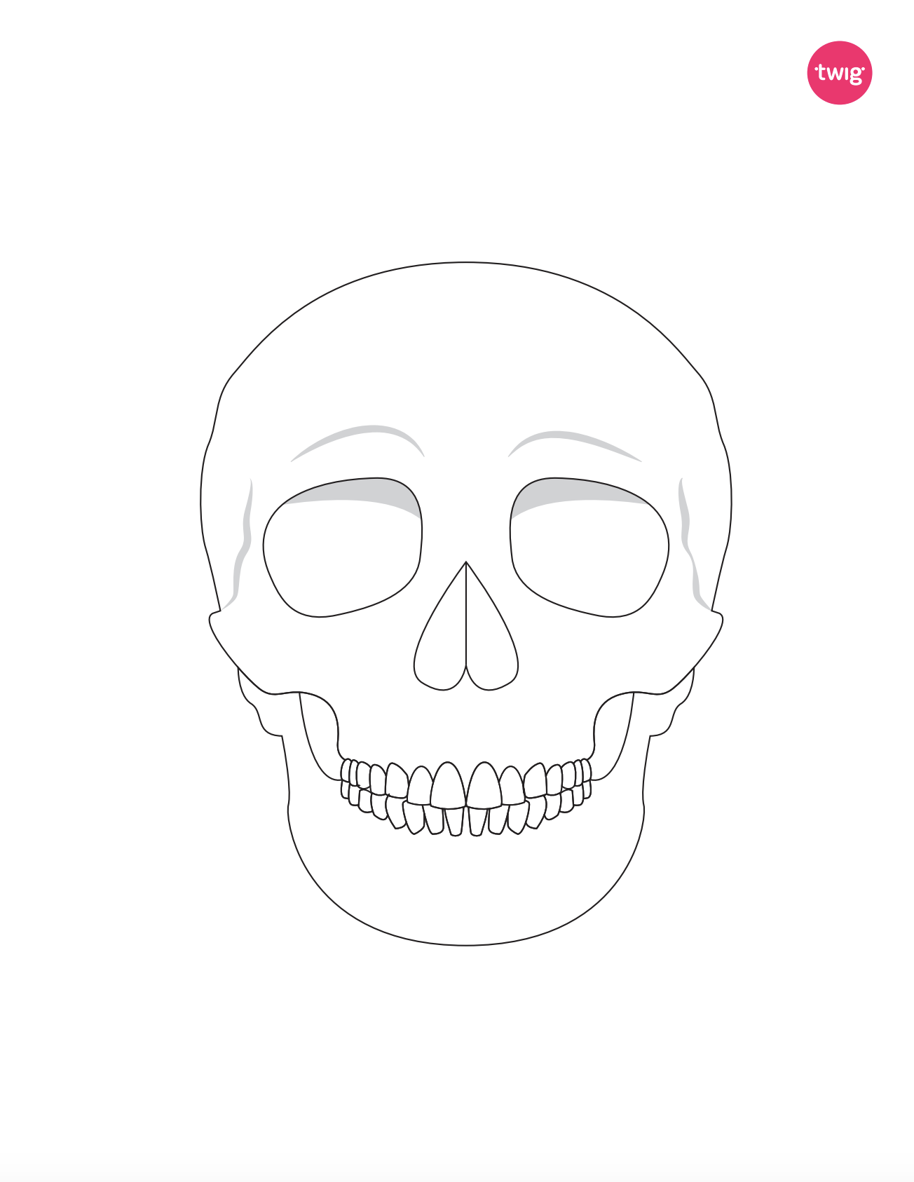 Skull cutout