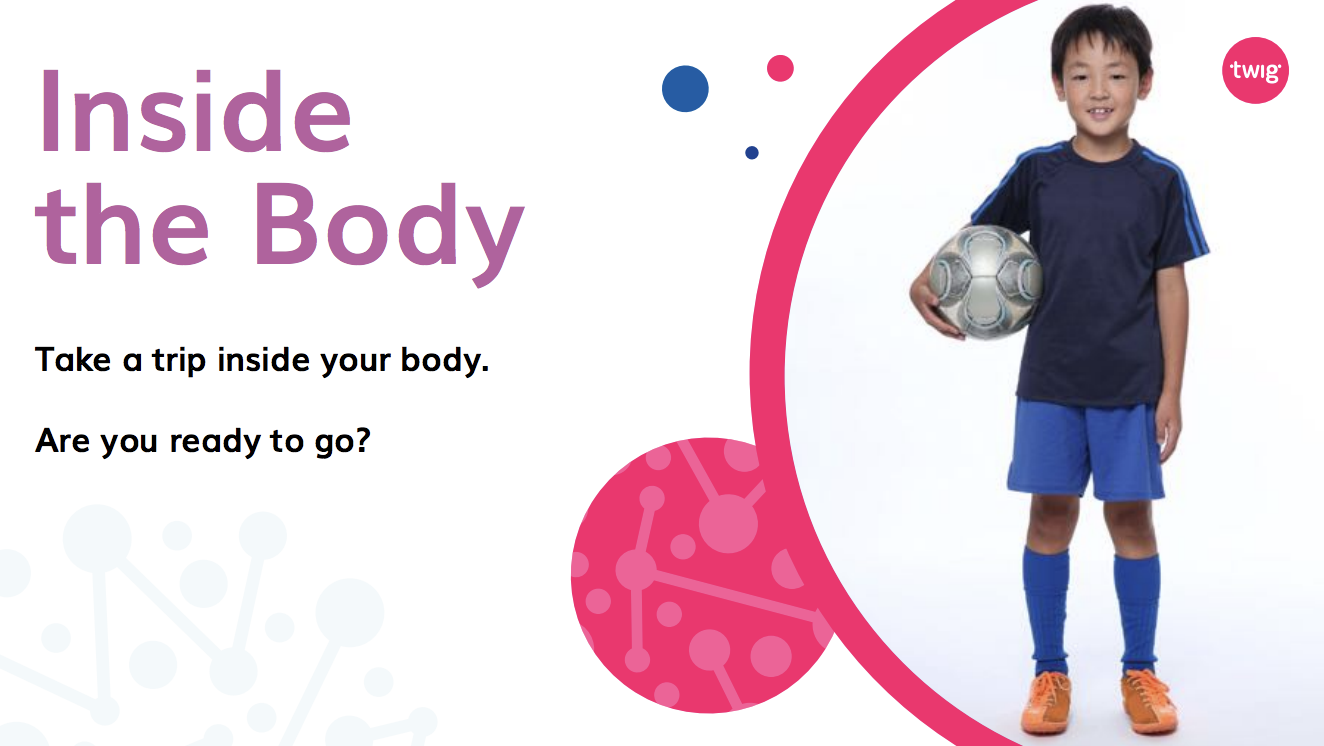 Inside the Body Read-Aloud