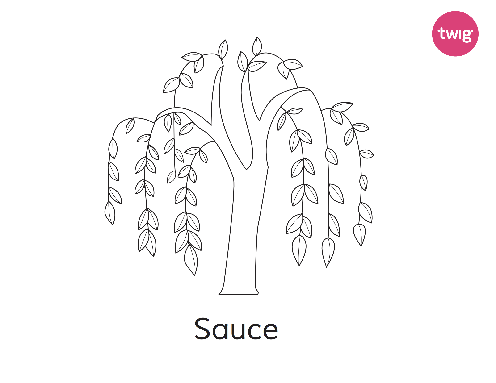 Ficha Diagrama de flujo de la materia