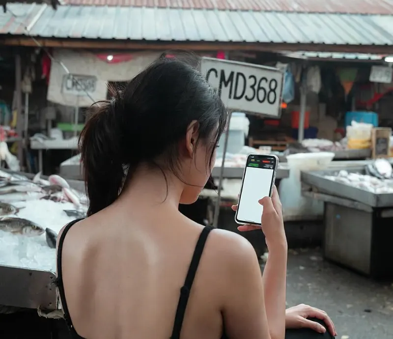 WILD FIREWORKS PG SOFT Link Alternatif