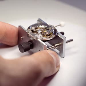Motion component fixed in a workpiece holder