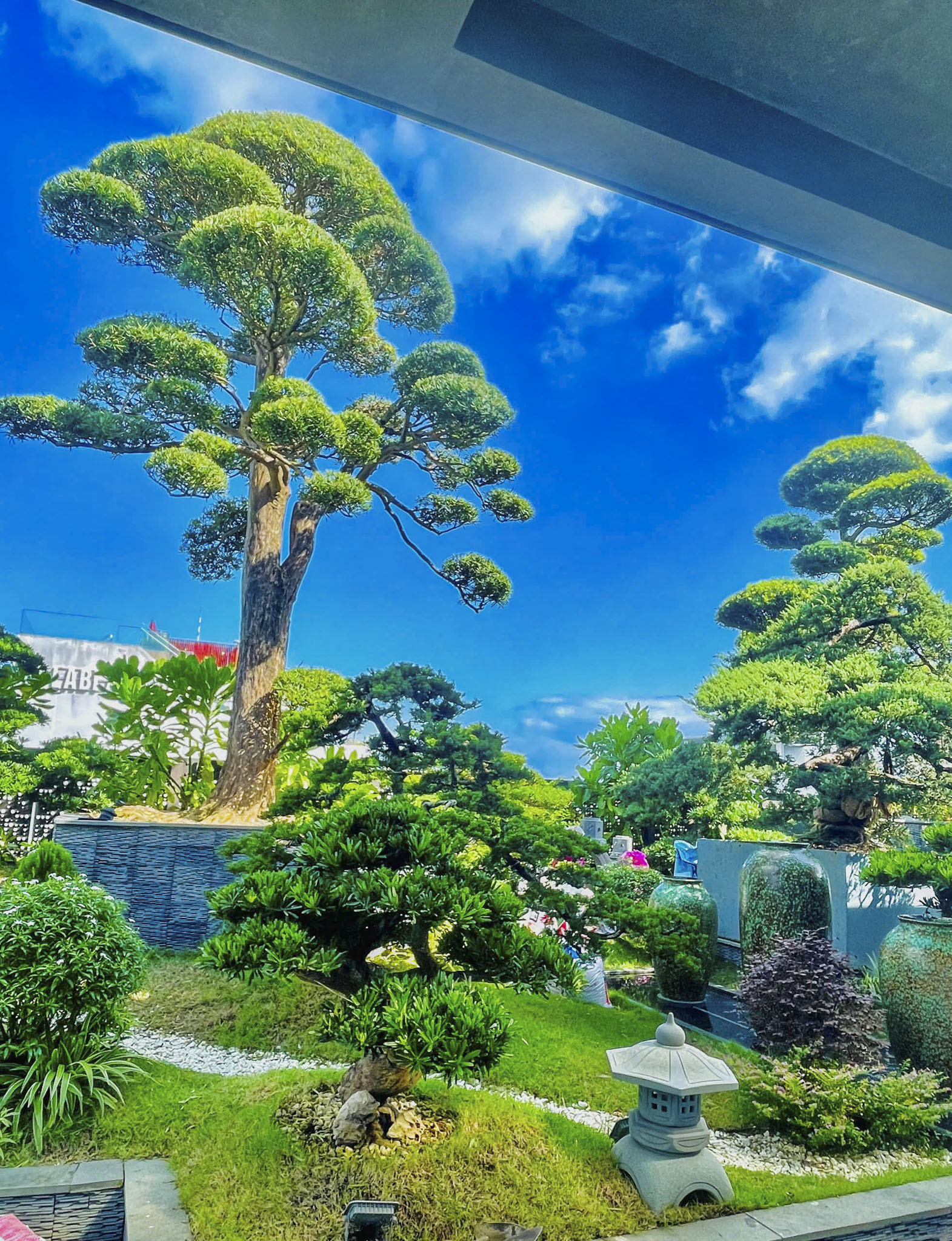 Tư vấn , thi công cây xanh và bảo trì