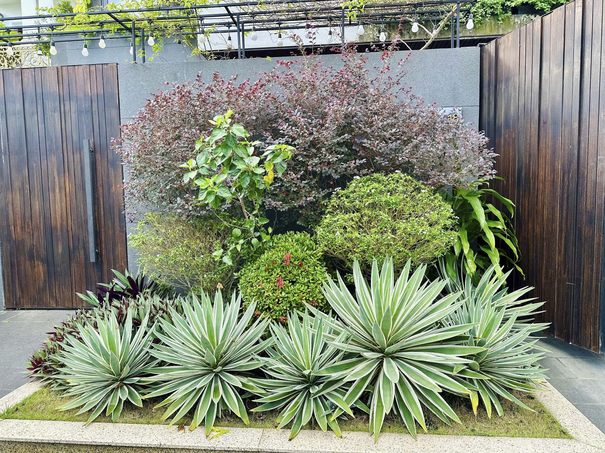 THIẾT KẾ SÂN VƯỜN 3D – BIẾN SÂN THƯỢNG THÀNH HỒ CÁ KOI NGHỈ DƯỠNG