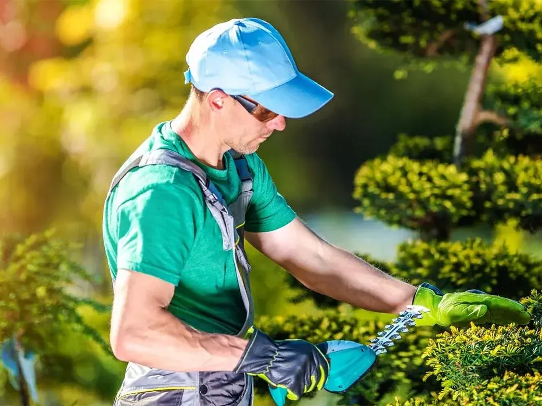 Triển Khai Thi Công