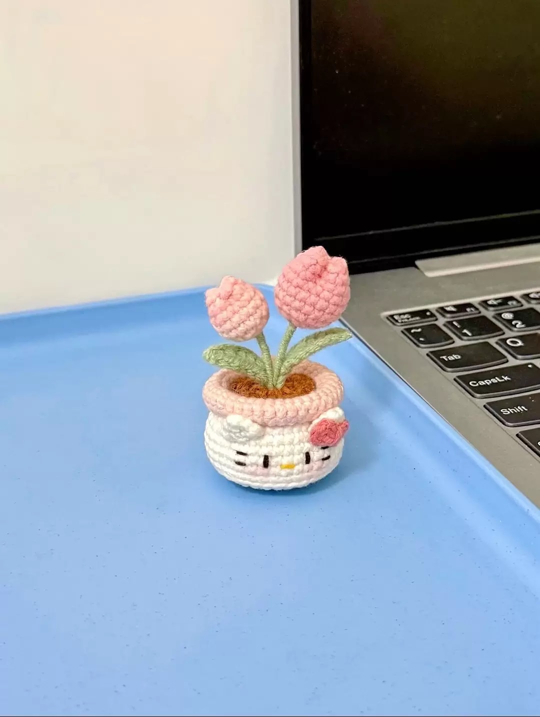Kitty猫郁金香盆栽摆件