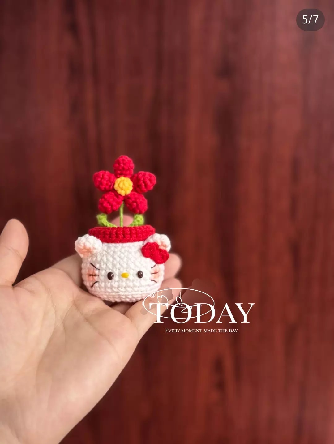Kitty猫郁金香盆栽摆件