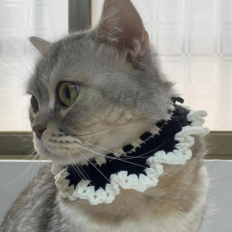 针宠物围巾口水巾饰品装饰狗狗猫猫配饰小型犬猫咪围脖手钩