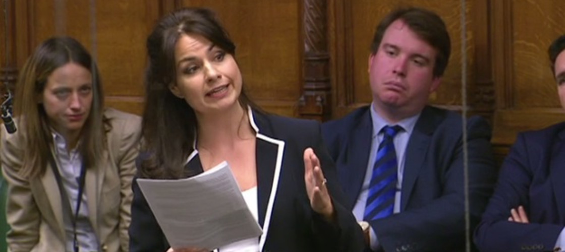 Heidi Allen Heidi Allen