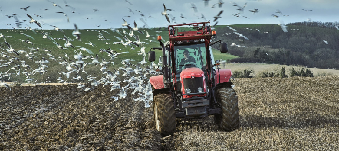 Farmer Farmer