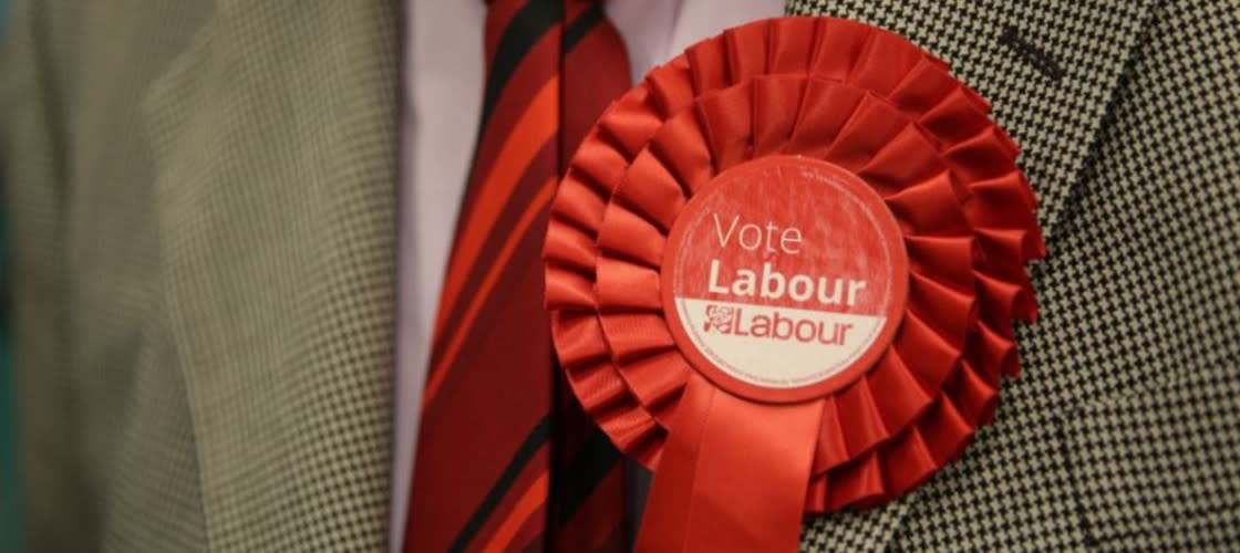 Labour rosette Labour rosette