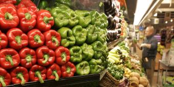CPRE: Focus should be on local food