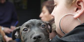 Conference 2012 : Are we still a nation of animal lovers?