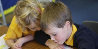 Narrowing the gap between private and state schools
