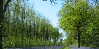 Trust welcomes committee report into 'greening the CAP'