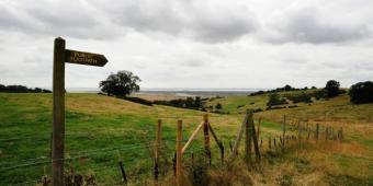CPRE: Growth bill won't deliver