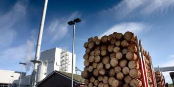 Biomass plants are a ‘threat to business and environment’