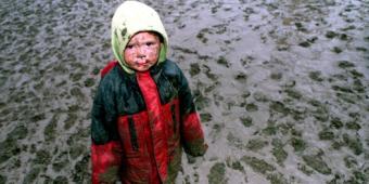 Mark Williams MP: The Child Maltreatment Bill