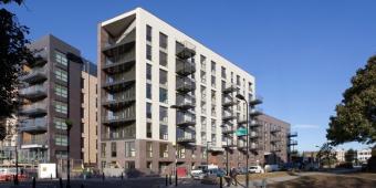 Wood: The eco-friendly alternative to bricks and mortar