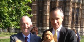 Get your pet chipped, say vets