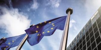 Vets are vital to deliver UK's post-Brexit vision for animal health and welfare