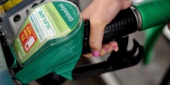 Parliamentarians call on the Government to introduce a more environmentally friendly petrol, E10