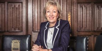 Michael Fallon quit the Cabinet 'after Andrea Leadsom sex pest claims'