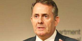 Downing Street 'slaps down Liam Fox' over hint migration target could end