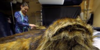 Government should consider banning the sale of fur, say MPs