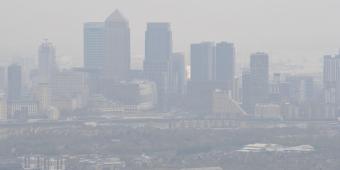 Four Commons committees join forces to demand action on air quality