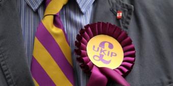 UKIP faces collapse in candidate numbers ahead of local elections