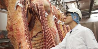 EU vets must be guaranteed right to stay and work in UK to safeguard animal welfare says BVA