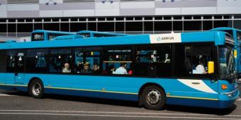 Labour's bus policy criticised