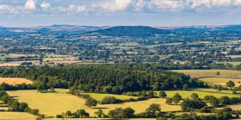 Incentivising development away from precious greenfield sites