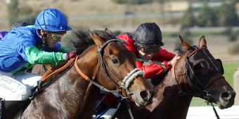 'Mutually beneficial' relationship between betting industry and British sport
