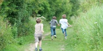 Environmental consideration must be at the heart of planning reforms