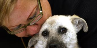 Irresponsible pet breeding is rising & supply now outweighs demand