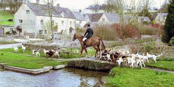 Labour call on ministers to confirm fox-hunting vote plans have been dropped