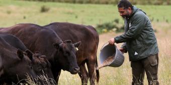 British farmers get a good deal from the EU