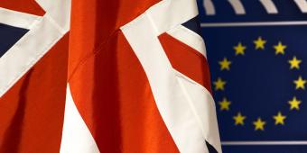 More over 50s would vote for Brexit now than in June - poll