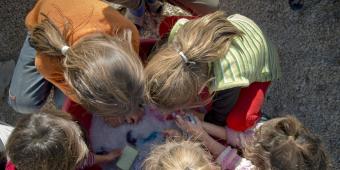 Gender adversity - tackling violence against women