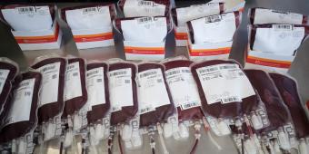 Government and campaigners at odds over future of contaminated blood inquiry