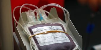 No liability has ever been admitted in the UK for the contaminated blood scandal