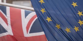 Trade with 70 countries at risk of ‘falling off cliff-edge’, warn MPs