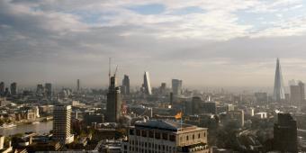 Use professional bodies’ resources to drive growth, MPs urged