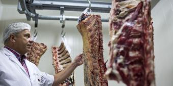 Halal row ‘hijacking animal welfare concerns’