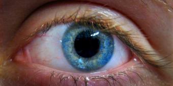 Seeing clearly: Charity warns of ‘overwhelming’ increase in blindness