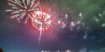 Vets urge pet owners to prepare, to avoid ‘distressing’ Bonfire Night