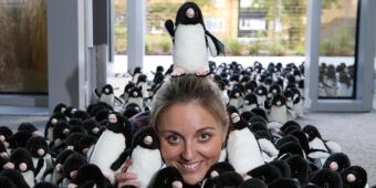 Adopt a real penguin this Christmas